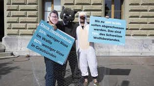 Die Kampagnenorganisation Campax hat am Donnerstag bei der Bundeskanzlei eine Petition mit über 48'000 Unterschriften gegen Wolf-Abschusspläne des Bundes eingereicht.