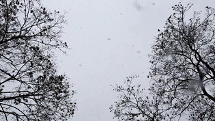 Auch im Flachland gab es in der Schweiz teilweise Schnee. (Archivbild)
