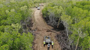 A supplied image obtained on Thursday, March 7, 2024, of A 2km road was illegally cleared through protected national park in north Queensland, Bowling Green Bay National Park, Qld. (AAP Image/Supplied by Qld Department of Environment, Science and…