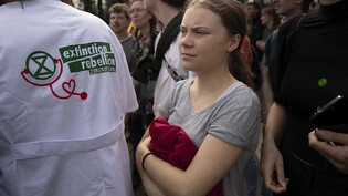 Greta Thunberg bei einem Klimaprotest von Extinction Rebellion und anderen Aktivisten in der Niederlande. Foto: Peter Dejong/AP/dpa