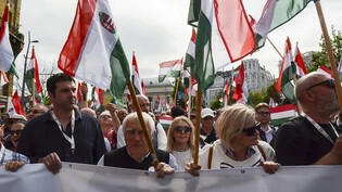Menschen versammeln sich zur Unterstützung des politischen Neulings Peter Magyar, einem ehemaligen Insider der ungarischen Regierungspartei Fidesz. Foto: Justin Spike/AP/dpa