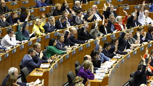 dpatopbilder - Mitglieder des Europäischen Parlaments nehmen an einer Reihe von Abstimmungen teil, während sie an einer Plenarsitzung im Europäischen Parlament teilnehmen. Foto: Geert Vanden Wijngaert/AP/dpa