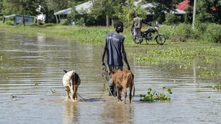 Ein Mann führt sein Vieh durch die Überschwemmungen. In Kenia sind in den vergangenen Tagen nach heftigen Regenfällen und Überschwemmungen mehrere Menschen ums Leben gekommen. Foto: Brian Ongoro/AP/dpa