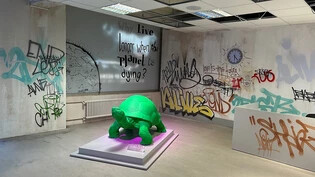 Die alte Schildkröte im Eingangsraum zur Ausstellung "The End of Aging" in der Kulturstiftung Basel H. Geiger.