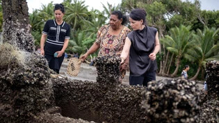 Im Mittelpunkt der einwöchigen Reise von Außenministerin Baerbock nach Australien, Neuseeland und Fidschi steht die Sicherheitspolitik und der Klimaschutz. Foto: Sina Schuldt/dpa