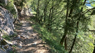 Tödliche Verletzungen: Ein Mountainbikefahrer stürzt auf dem Schabziger Höhenweg an dieser Stelle oberhalb von Mollis den Hang hinunter und stirbt. 
