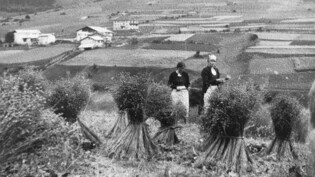 Alter Brauch: In der Val Müstair wurde vor Jahrzehnten Flachs angebaut und verarbeitet. 