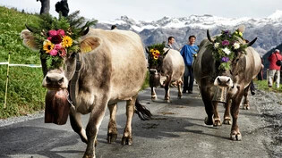 Alpabzug: Bevor die Rinder am Sonntag bewertet werden, lassen sie sich am Samstag beim klassischen Alpabzug bestaunen. 