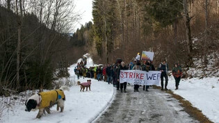 Demo auf dem Wanderweg: Die Teilnehmenden der Anti-WEF-Winterwanderung durften nicht auf der Kantonsstrasse protestieren.
