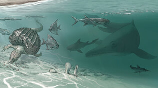 Reine Spekulationen: Die Illustration zeigt rechts einen Fischsaurier bei der Beutesuche im Meer vor 205 Millionen Jahren. Solche könnten auch in Graubünden gelebt haben.