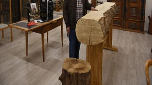 Wenn dieses Holz erzählen könnte: Urs Seliner zeigt in seinem Ausstellungsraum einen Baumstamm aus dem 5. oder 6. Jahrhundert.