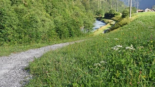 Das Projekt «Blühende Wanderwege entlang der Sernf und der Linth» erhielt die meisten Stimmen, im Bild der Suworow-Weg bei Engi.