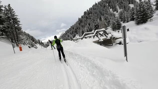 Unterwegs auf zwei Ski: In Graubünden können Langläufer Steinböcke jagen. 