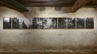Stephan Schenks 10-teilige Arbeit mit dem Titel «Arvenwald Tamangur»