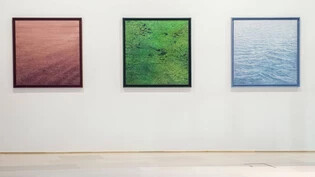 Blick in die Ausstellung "Naturstücke", mit total 44 Werken von der Künstlerin Anne Hausner. 