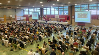 Die Glarner Stimmberechtigten sprechen sich an der Gemeindeversammlung im Buchholz Glarus mit 247 zu 158 Stimmen für die Sanierung der Badi Netstal aus. 