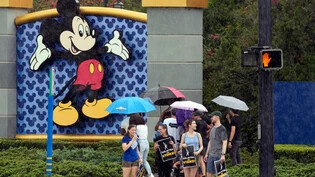 Keine einfache Zeit für den Mäusekonzern: Nach einer 146-tägigen Streikdauer haben die bedeutenden Hollywood-Studiokonzerne und Streaming-Plattformen wie Disney, Warner, Netflix, Amazon, Sony und Co. eine Vereinbarung mit der Gewerkschaft der Drehbuchautorinnen und Drehbuchautoren getroffen. Trotzdem kehrt bei Disney keine Ruhe ein. 