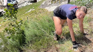 Vielseitig einsetzbar: Im Sommer hat Michelle Egger auf einer Alp im Tessin angepackt. 