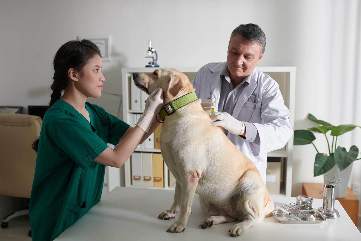 Was ist los? Wenn ihr unsicher seid oder euer Tier schon länger kränkelt, solltet ihr umgehend den Tierarzt aufsuchen.